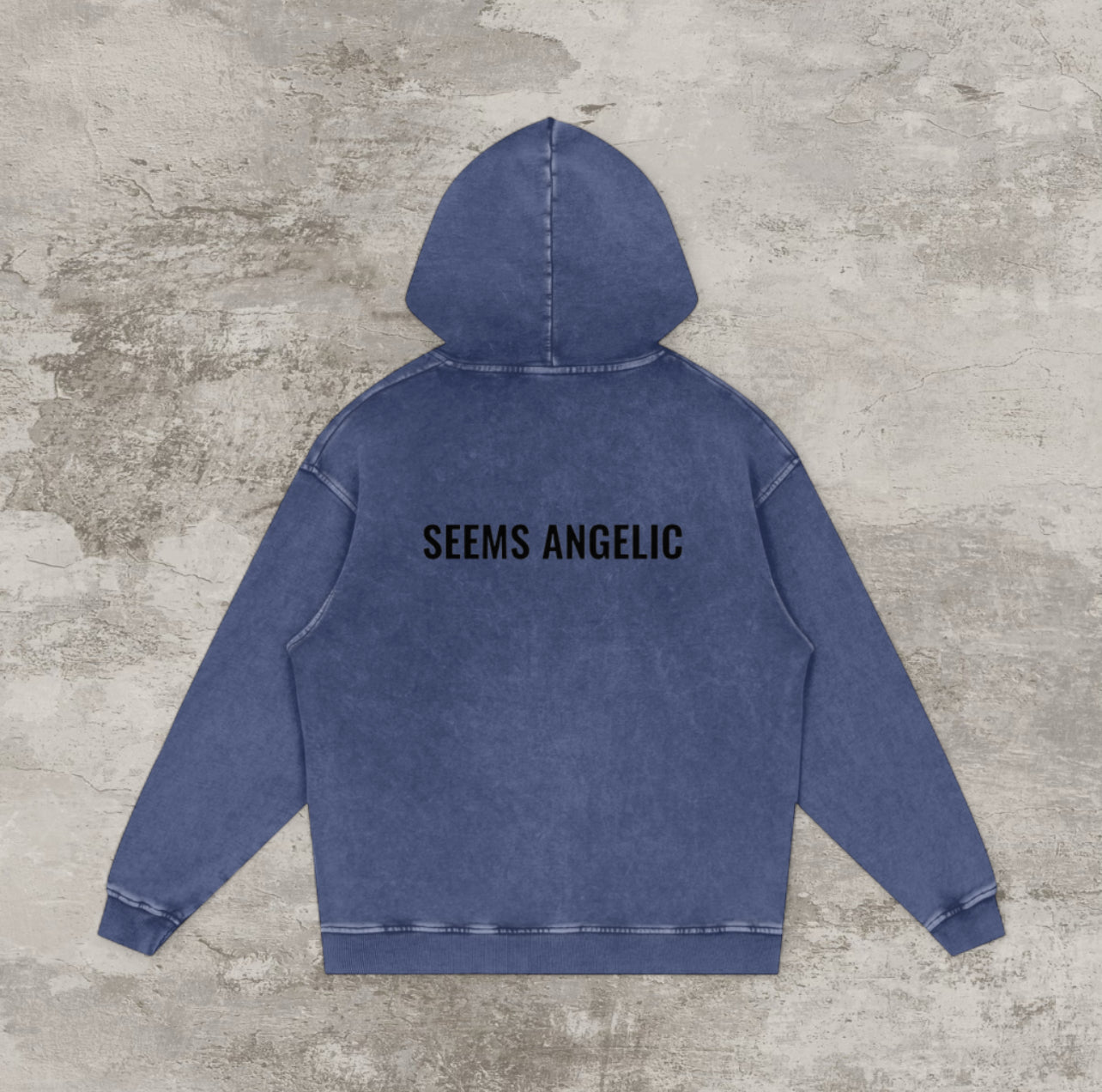 SEEMS ANGELIC BASIC HOODIE