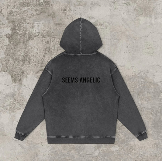 SEEMS ANGELIC BASIC HOODIE